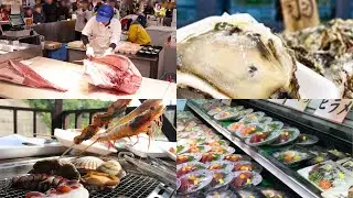 西日本最大級の海鮮マーケット「とれとれ市場」日本全国の新鮮なお魚がいっぱい！　とれとれ市場 南紀白浜　行ってきました！　Japanese Seafood Market Gourmet
