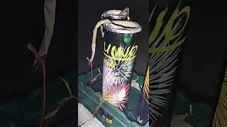 Single Shot, 3