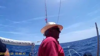 Pesca al curri 127