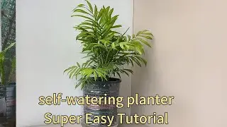 Make a Self-Watering Planter – No Skills Needed #SelfWateringPlanter #BeginnerDIY #GardeningTips