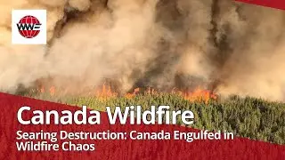 Canada Wildfires 2023: Unprecedented Blaze Threatens Nation's Landscapes | Latest Updates |WWF