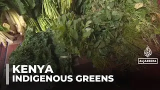 Kenya promotes indigenous greens as healthier food option, replacing colonial veggies