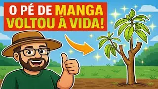 🌱 O Pé de Manga Voltou à Vida! Está Rebrotando 😱🌿 #015