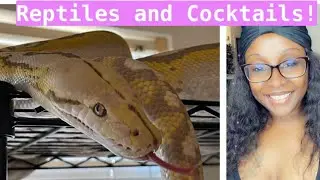 Reptiles and Cocktails-Episode 10-Tim Intrepid Exotics