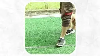 Smooth Pull Every Time! 💩 Dog Poop Bag Dispenser with Rotating Shaft