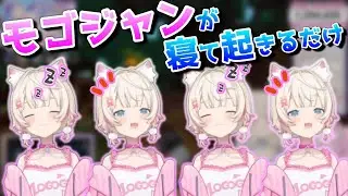 A video of Mogojan just sleeping and waking upモゴジャンが寝て起きるだけ【ホロライブEN／Advent／FUWAMOCO／切り抜き】