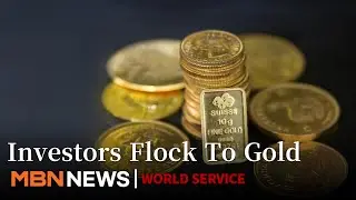 Gold Surges Past $4,000, Hitting 817,000 Won in Korea Amid Investor Rush