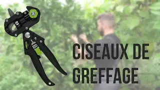 🌿✂️ Ciseaux de Greffage VITO 🌱 D&eacute;mo 🔧 Univers Du Pro