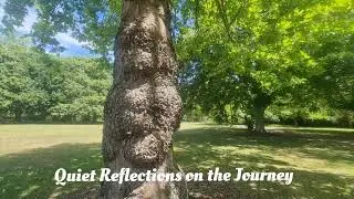 Music: Quiet Reflections on the Journey/旅途静思