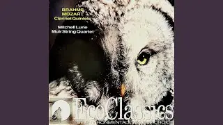 Quintet for Clarinet and String Quartet in B Minor, Op. 115: III. Andantino
