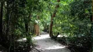 City of Miami Simpson Park