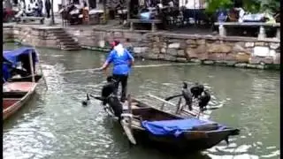 Trained Birds Working For Fisherman