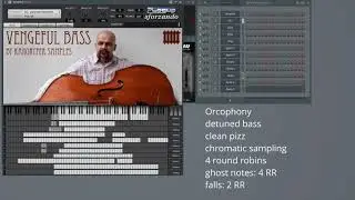 Karoryfer Samples bass comparison video