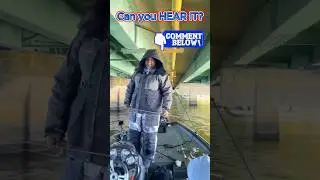 Настоящие рыболовы знают, о чём я говорю! #краппи #понимаете #подписывайтесь #fyp