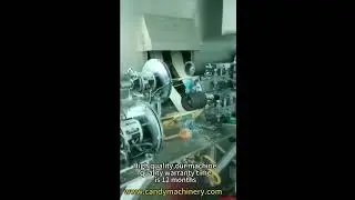 Are you looking for Automatic egg roll making machine?
