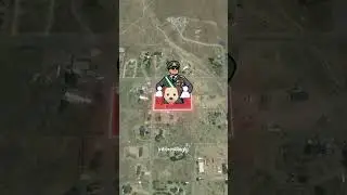 Задний двор превратился в нацию! 🇺🇸