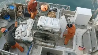 Cleaning then Delivering Our Catch! - 2023 Alaska Halibut Season