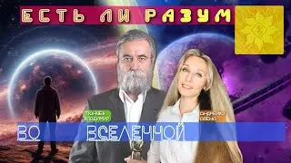 Is there intelligence in the universe?