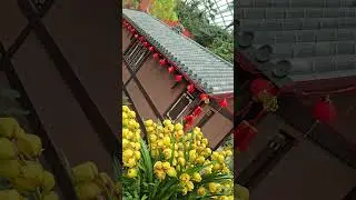 #flowerdomesingapore #flowerdisplay #vibrantflowers
