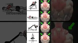 upper back workout at gym #upperbackworkout