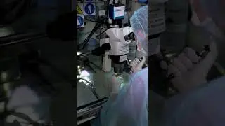 Оценка качества эмбрионов!