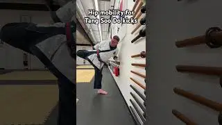 Hip mobility for Tang Soo Do kicks #shorts