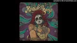 RoadkillSoda - Sky Roads