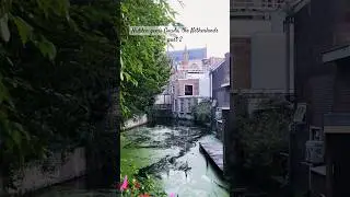 Hidden gems of Gouda, Netherlands part 2 #shorts