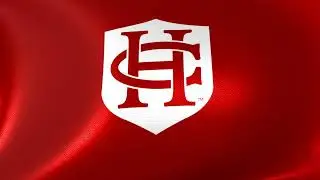 Flag of Hanover Panthers waving in the wind