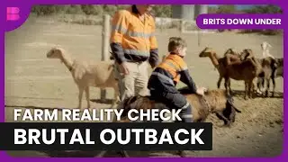 British Backpackers Face Brutal Outback Farm Work