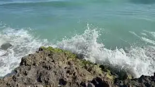 Blowing Rocks Preserve 2 | Jupiter Island, FL | 2025-12-12