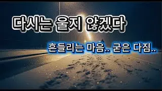 다시는 울지 않겠다 (감성 트로트 발라드)
