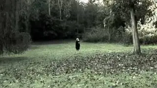 The Knife - A Lung