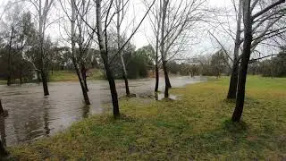 Ginninderra Creek heavily flooded after torrential rain in Canberra, Australia - 9 August 2020.