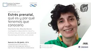 Ciencia en el bar - Marcela Brocco