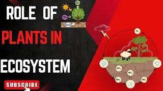 Role of plants in ecosystem # Subscribe ❤️💕 # Trending no.. 1