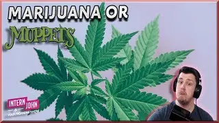 Marijuana Or Muppet?: The Game