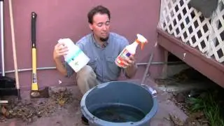 How to Kill Mosquitoes in Rain Barrels