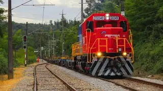 Fepasa | La nueva D-2349