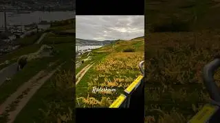 #reels #r&uuml;desheim #germanytourism #lifestyle #travel #travelvlog