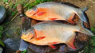 2KG Live Lake Red Pomfret Fish Slice Cutting | Rs - 400 | Home style Cutting | CT 360*🔪