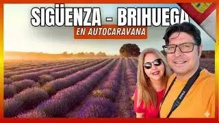 🇪🇸 SIGÜENZA y los Campos de LAVANDA de BRIHUEGA | Día 5