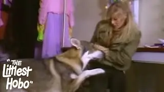 Forget Me Not | The Littlest Hobo | Season 3 | Episode 17
