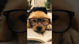 Studying&hellip; in my dreams 🤣💤