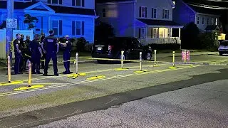 4-year-old boy struck, killed in Hyde Park hit-and-run, Boston police say