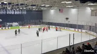 2016 OJG Gold vs 2016 Compuware 01.11.2026