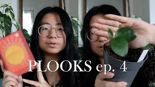 PLOOKS: Plants and Books Ep. 4  |  Can you guess the plant?