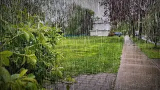 Can’t Stop Watching This Relaxing Rain 🌧️ 3 Hours of Deep Sleep