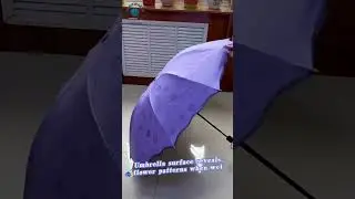 Magic Umbrella / Color Changing Umbrella / Cherry Blossom Flower Umbrella #umbrella #rain #compact