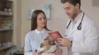 Why Spaying & Neutering Your Pet Matters 🙏✨️❤️